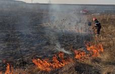 Incendiu de vegetație la marginea Botoșaniului. Focul a ajuns la casele din apropiere și lângă un fost depozit - FOTO