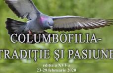 Expoziţia „Columbofilia - tradiție și pasiune” la Dorohoi. Vor fi expuse peste 400 de exemplare de păsări