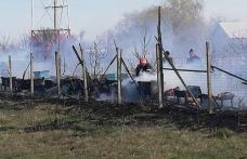 Peste 30 de stupi de albine distruși de un incendiu scăpat de sub control