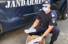 182 de pachete de țigări confiscate de jandarmii botoșăneni