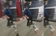 Cabină de camion căptușită cu țigări de contrabandă descoperită în Vama Stânca – FOTO