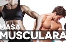 Ce trebuie să faci pentru a-ţi dezvolta masa musculară