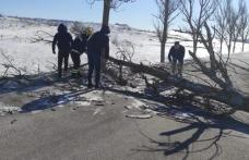 Pompieri voluntari blocați de un copac căzut în mijlocul drumului în timp ce mergeau la un incendiu