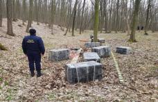 Lovitură de peste 315.000 de lei dată contrabandiştilor de ţigarete în pădurea din apropierea localităţii Baranca - FOTO