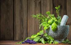 Tratamente din plante pentru o digestie sănătoasă