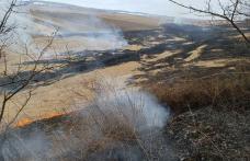 30 hectare de vegetație distruse în urma unui incendiu, la Frumușica - FOTO