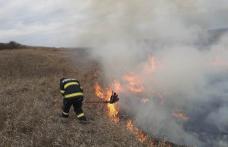 Două hectare de vegetație uscată cuprinse de un incendiu - FOTO