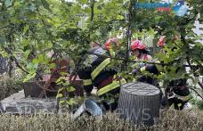 Femeie din Dorohoi găsită decedată în fântâna din curtea casei în care locuia - FOTO