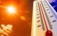 ITM Botoșani: Angajatorii, obligați să aplice măsuri, în perioadele cu temperaturi extreme, pentru protecția angajaților