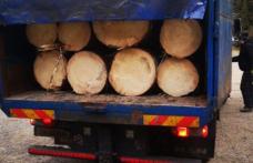 Botoșani: Acțiunile pentru prevenirea și combaterea tăierilor ilegale de arbori continuă