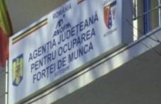 Peste 1300 de persoane angajate prin intermediul AJOFM Botoșani, în primele patru luni ale anului 2024 