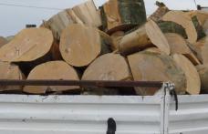 Sancțiune de 4.000 de lei pentru transport ilegal de lemne la Vârfu Câmpului