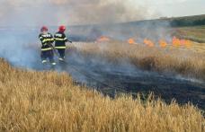ISU Botoșani: Campanie de recoltare a cerealelor, fără incendii