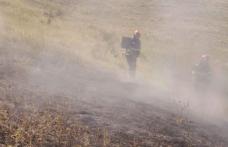 Aproximativ 10 hectare de vegetație uscată au ars pe un câmp de la marginea localității Răuseni