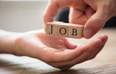 Locurile de muncă vacante la nivelul județului Botoșani