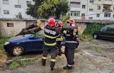 Mașini avariate de copaci căzuți după furtuna de ieri în Botoșani - FOTO