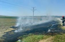 500 mp de vegetație au ars pe un câmp dintr-o localitate din județ. Pompierii au intervenit