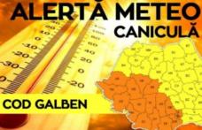 Urmează zile DE FOC! Cod galben de caniculă în județul Botoșani