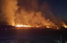 Trei incendii de vegetație uscată izbucnite în ultimele ore în județ. Zeci de hectare de stuf și copaci au ars