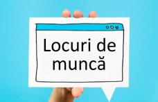 Locuri de muncă vacante la sfârșitul lunii iulie, în Județul Botoșani