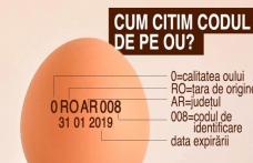 Cum citim corect eticheta de pe ouă. Ce înseamnă literele şi cifrele