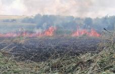 Pompierii au intervenit la trei incendii de vegetație în ultimele ore - FOTO