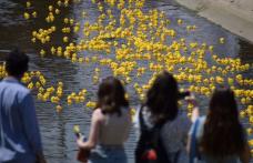 Vino la cea mai veselă competiție a toamnei: „Cursa de Rățuște”, pe râul de rafting de la Cornișa Aquapark! - FOTO