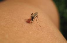 Un preot din Botoșani a murit după aproape trei săptămâni de luptă cu virusul West Nile