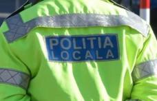 Poliția Locală Dorohoi: Amenzi de peste 4500 de lei pentru doi șoferi și trei persoane care vindeau covoare pe pietonal