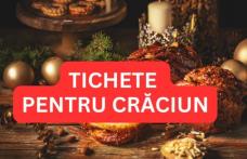 Ajutorul „Tichete pentru Crăciun” Ce sunt tichetele de Crăciun. Cine poate primi acești bani