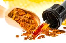 Tinctura de propolis: 10 beneficii pentru sănătate, dovedite științific