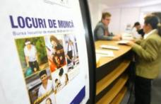 Locuri de muncă vacante și programe de formare pentru care se organizează înscrieri în săptămâna 9-15 decembrie la Botoșani