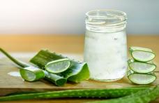 Beneficiile pentru sănătate ale gelului de aloe vera