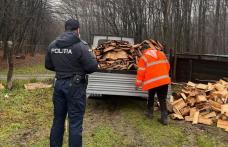 Material lemnos confiscat de Polițiștii din Dorohoi