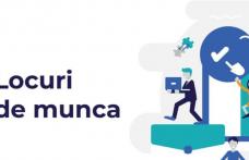 Locuri de muncă vacante și programe de formare pentru care se organizează înscrieri în săptămâna 16-22 decembrie la Botoșani