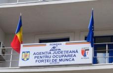 Peste 3.500 de persoane angajate prin intermediul AJOFM Botoșani, în perioada ianuarie - noiembrie 2024