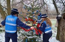 Jandarmii au dăruit și au împodobit un brad de Crăciun pentru o familie din județ cu posibilități financiare reduse - FOTO