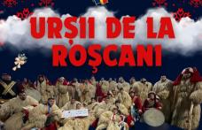 Urșii de la Comaneşti și de la Roșcani vin la Ungureni şi Săveni