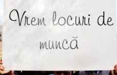 Un parlamentar român a înfiinţat Sindicatul Românilor fără Locuri de Muncă