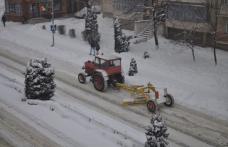 Vezi ce cred dorohoienii despre deszăpezirea din municipiul Dorohoi! Rezultatul sondajului!