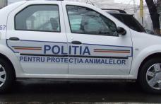 Poliţia animalelor, înfiinţată în cadrul ANSVSA, cu câte un inspector în fiecare judeţ