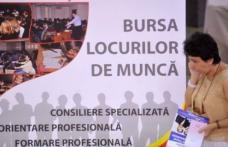 AJOFM Botoșani organizează „Bursa locurilor de muncă pentru absolvenţi”