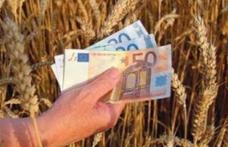 Fermierii vor primi subvenţii mai mari pentru terenurile agricole