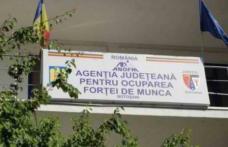 AJOFM Botosani partener in cadrul proiectului Imbunătătirea Competentelor personalului propriu