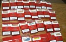 Dosar penal pentru contrabandă de ţigări