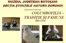 „Columbofilia - tradiție și pasiune”, ediția a XI-a la Muzeul de Știintele Naturii Dorohoi