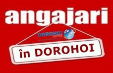 Post de profesor scos la concurs de Școala Gimnazială “Alexandru Ioan Cuza” Dorohoi. Vezi detalii!