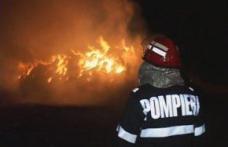 15 tone de furaje distruse în două incendii 