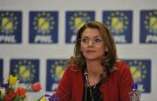 Alina Gorghiu: ANAF a omorât micul întreprinzător