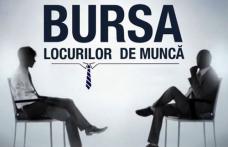 Vezi lista celor 228 locuri de muncă anunţate până la această dată la Bursa Generală a Locurilor de Muncă din 24 aprilie